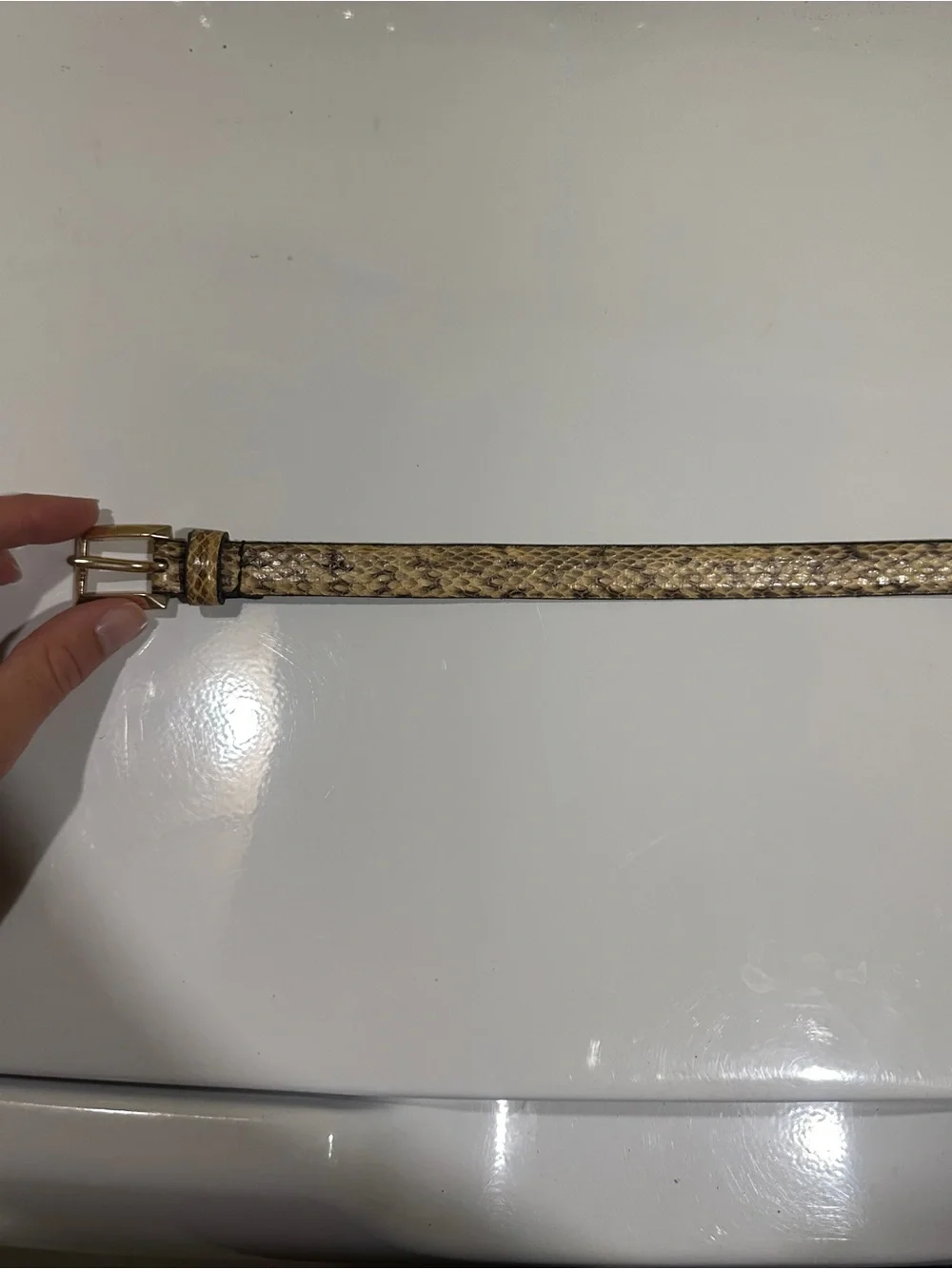 Snake-Print Narrow Women's Belt in Beige